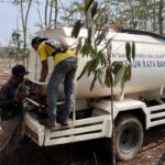 Hadapi Kemarau Ekstrem, Kebun Raya Banua Intensifkan Perawatan Tanaman Koleksi